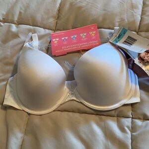 Maidenform Custom Lift padded white T-shirt bra size 36C
